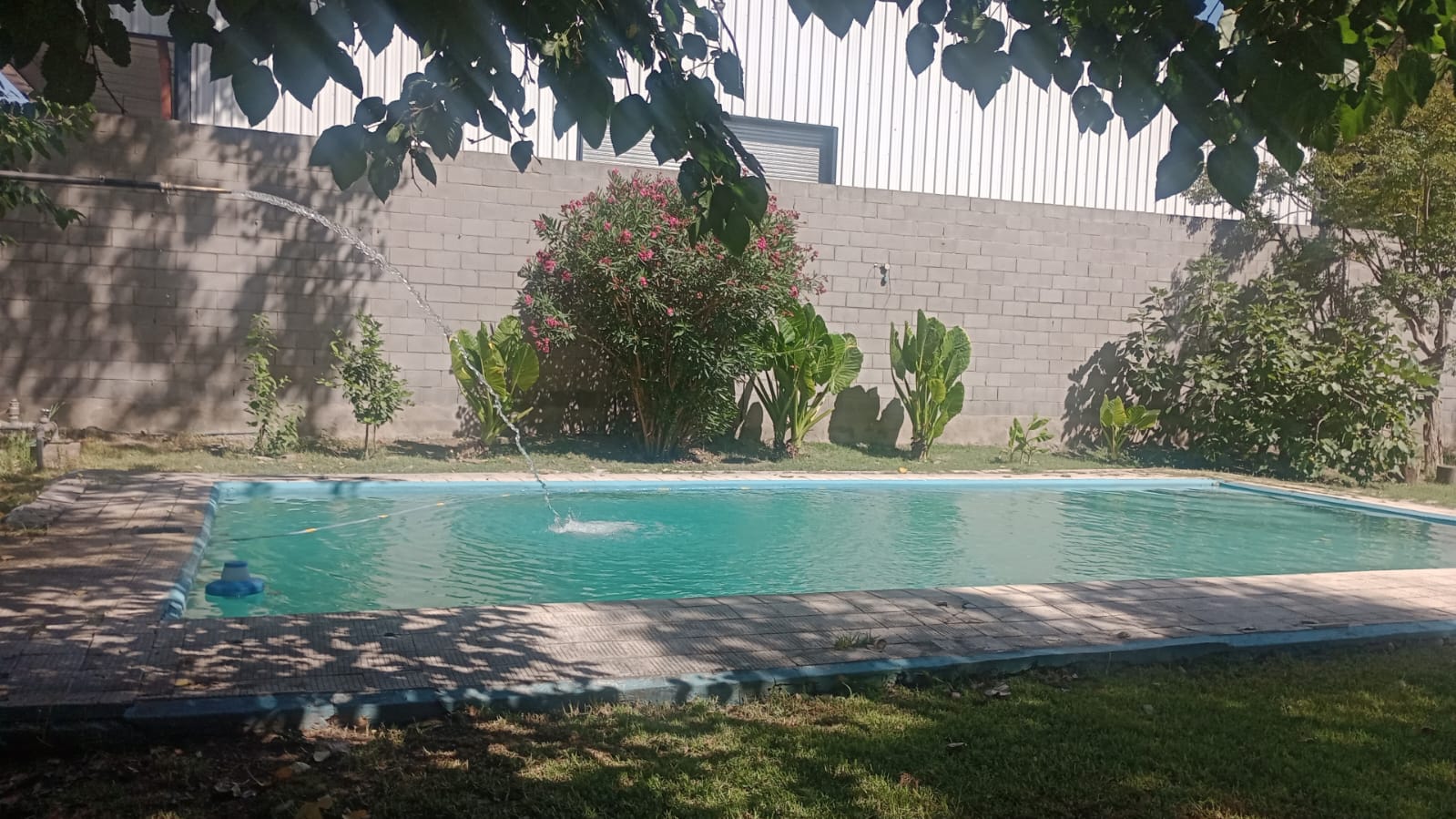 WhatsApp Image 2025-02-01 at 10.23.37.jpeg